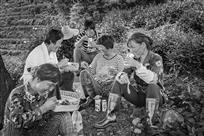 茶园午餐