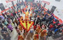 龙迎新年