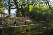 山清水秀