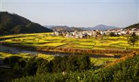 花中村