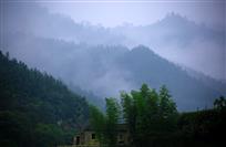 芹川烟雨