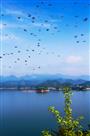 《千岛飞歌》