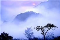 标题：晨曲--千岛湖石林