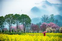 春至山乡