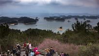 千岛梅花喜迎客