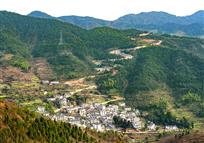 山路弯弯