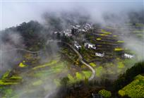 金峰人家