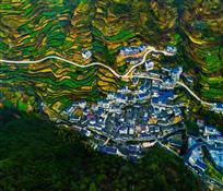 美丽家园