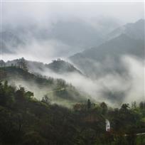 临岐烟雨
