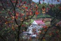 山里人家