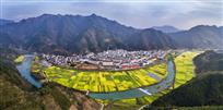 《临岐春色》