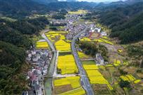 金色的康庄大道
