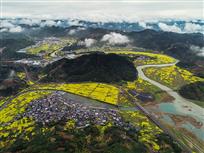 金色港湾
