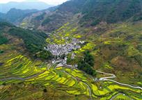山谷春色