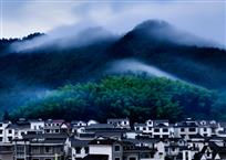 空山新雨后