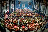 朱家村猪头祭祖