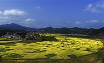 一方春色醉群山