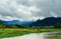 雨后风光夏景新