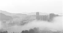 《多少楼台烟雨中》