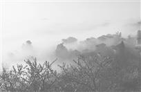 《百罗三月烟雨时》