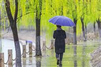 春雨