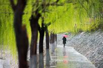 江南雨季
