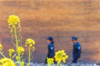 乡村警事