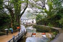 醉美芹川
