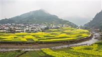 《醉美乡村》