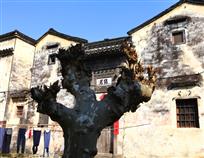 历史渊源