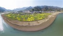希望的田野