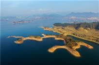 金色海岸线