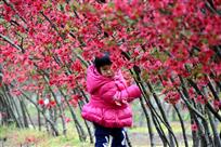 花样年华