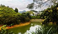 龙川湾旅游景点一瞥