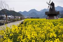 春满田野