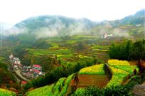 《美丽茶山》