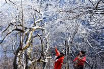 《冰雪世界》
