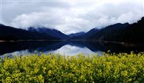 《春日千岛湖》