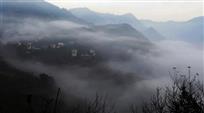 [[高山云雾]]