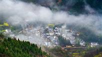 情醉新村