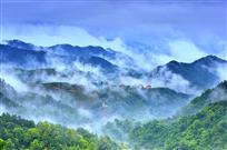 空山新雨后