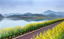 绿道春景