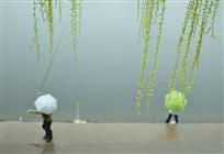春江水暖