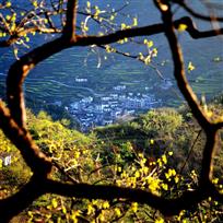 金峰即景