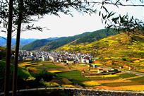 画意乡村