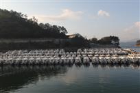 港湾净泊美如画