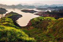 花香岛屿
