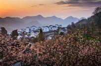 春到日照村
