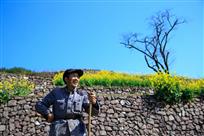 大山情怀