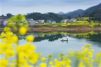 春满千岛湖